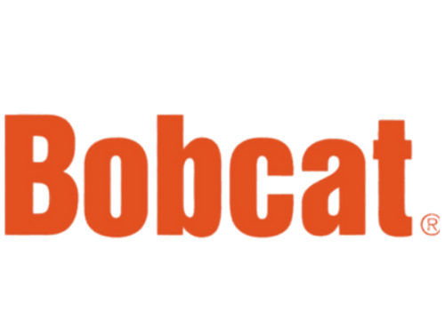 bobcat